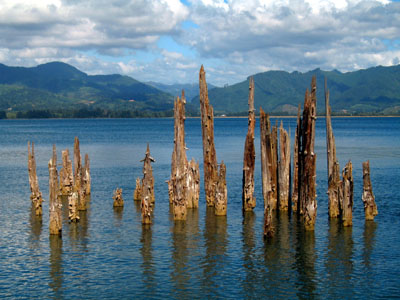 Worn Posts, Bay, Cape Meares, OR, August 2007