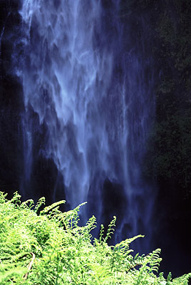 Multnomah Falls I