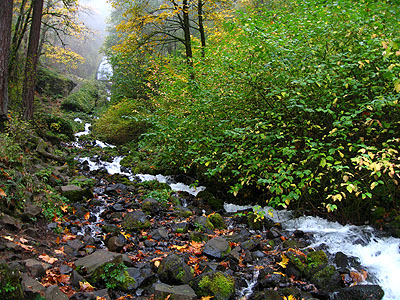 Wahkeena Falls 2