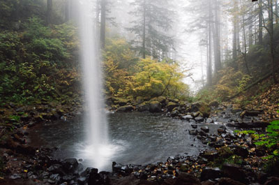Waterfall, Woods