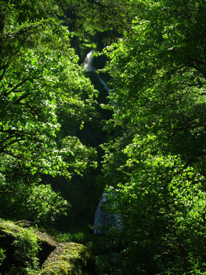Wahkeena Falls