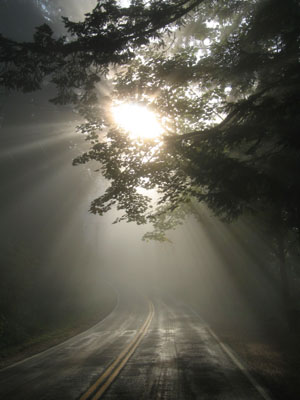 Sunburst on Road, Corbett, Oregon, October 2006