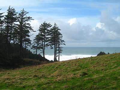 Grass, Trees, and Pacific Ocean, Ecola State Park, Oregon, February 2007