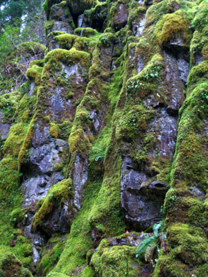 Faces in the Rocks