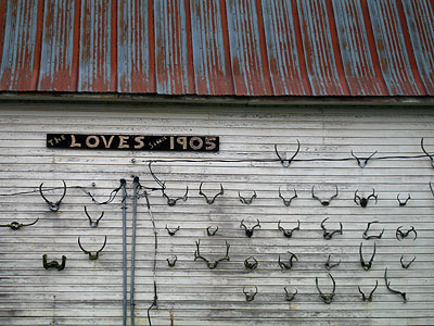 Barn & Antlers 1