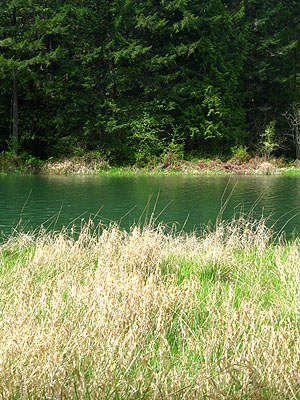 Hagg Lake Finger