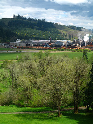 Meadows, Stimson Lumber Company
