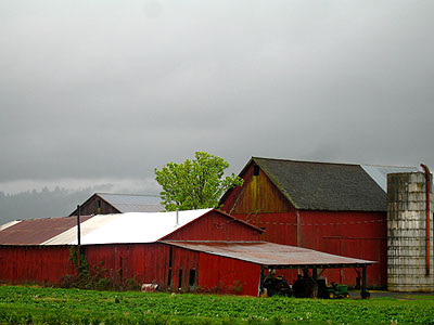 Red Barn, Fog