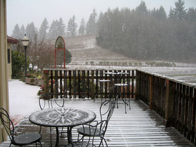 Elk Cove Vineyards, Snow