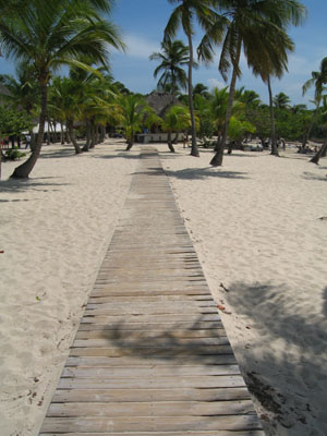 Beach Walk, Isla Saona, Dominican Republic, August 2006