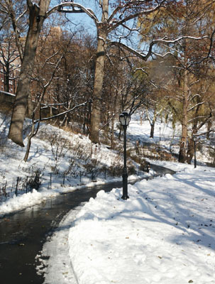 Central Park Path, Snow