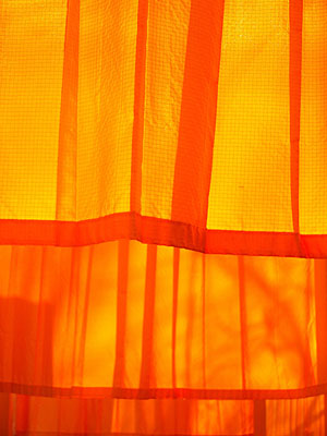 The Gates 1, New York City, February 2005