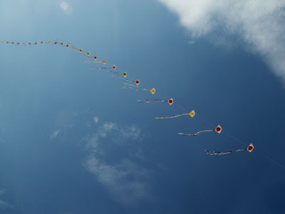 Kites, New York, NY, July 2005