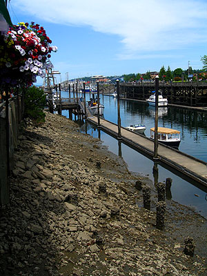 Riverfront Docks