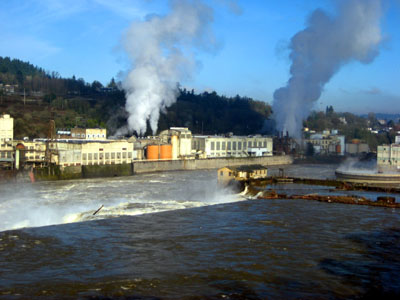 Willamette Falls, Paper Mill 1, Oregon City, OR, January 2008