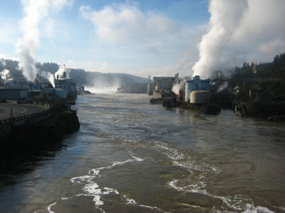 Willamette Falls, Paper Mill 6