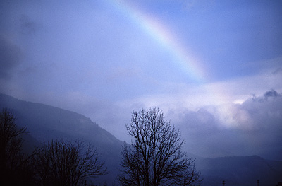 Fog and Rainbow