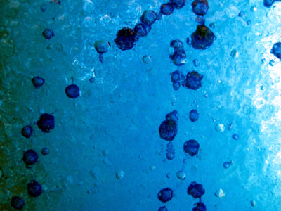 Blue Glass, Tanner Springs Park 2