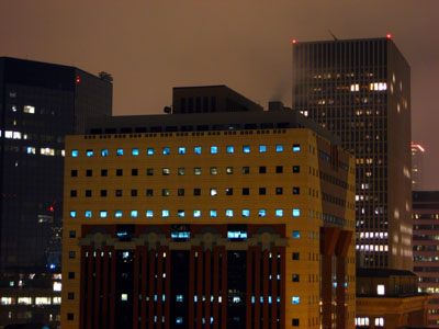 Portland Building at Night, Portland, OR, January 2008
