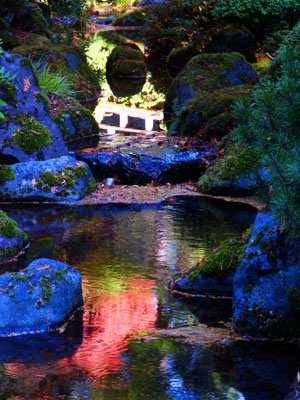 Stream, Portland Japanese Gardens, Portland, OR, October 2007
