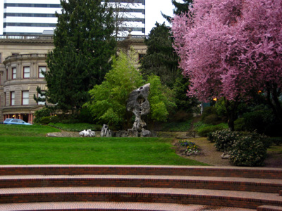 Terry Schrunk Plaza, Cherry Blossoms