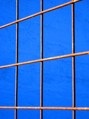 Wire Fence, Blue Wall