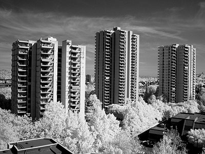 American Plaza Towers 2