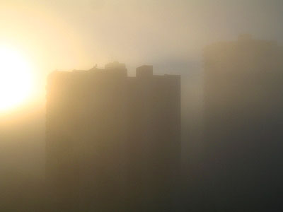American Plaza Towers in Fog