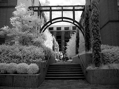 Bridgeport Condominiums Courtyard