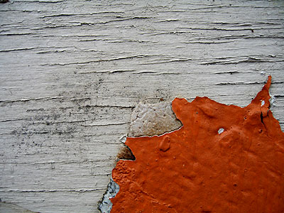 Chipping Paint 1, Portland, Oregon, March 2007
