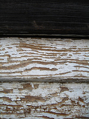 Chipping Paint 10, Portland, Oregon, March 2007