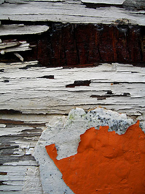 Chipping Paint 2, Portland, Oregon, March 2007
