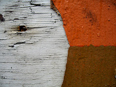 Chipping Paint 4, Portland, Oregon, March 2007