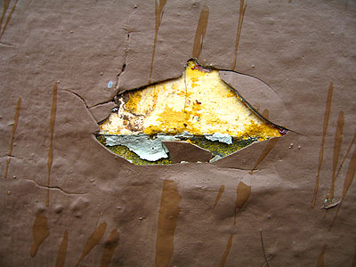 Chipping Paint 5, Portland, Oregon, March 2007