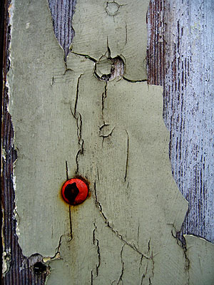 Chipping Paint 7, Portland, Oregon, March 2007