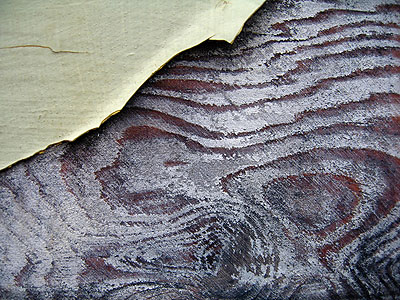 Chipping Paint 8, Portland, Oregon, March 2007