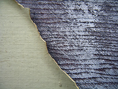 Chipping Paint 9, Portland, Oregon, March 2007