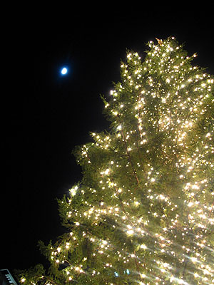 Christmas Tree and Moon, Pioneer Courthouse Square