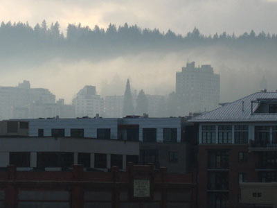 Condos and Fog