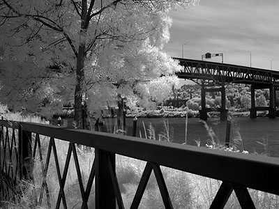 East Side Esplanade, Marquam Bridge