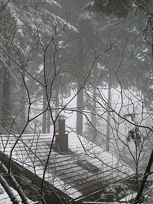 Forest Home with Snow Dusting