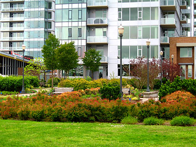 Gardens by The Strand Condos
