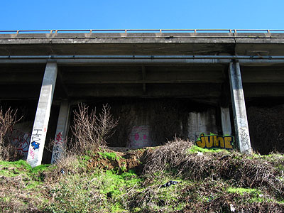 Graffiti, 99E from Springwater Corridor