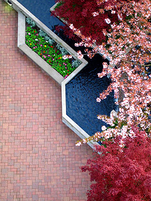 Landscaping, Village at Lovejoy Fountain, Portland, Oregon, April 2007