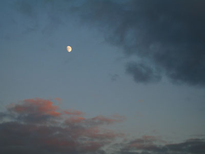 Moonrise 2