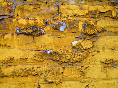 Painted Brick 15, Portland, Oregon, March 2007