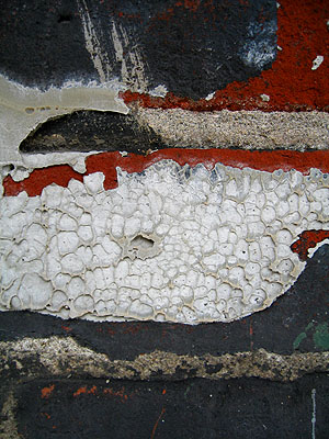 Painted Brick 8, Portland, Oregon, March 2007