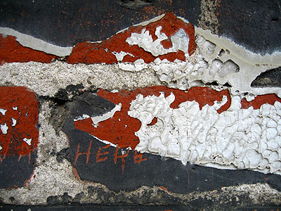 Painted Brick 9