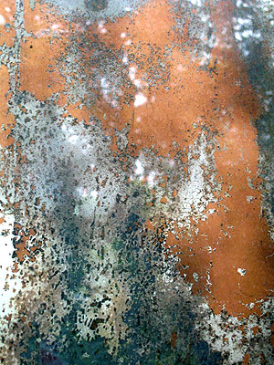 Painted Glass, Portland, Oregon, May 2007