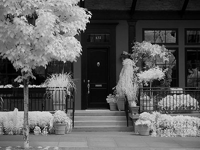 Pearl District Townhouse & Potted Plants